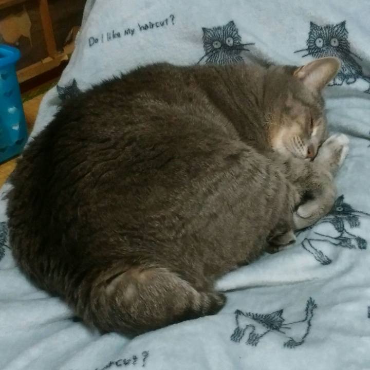 F608ed3f b3c3 46c8 bb28 ffb49f4c7f6b