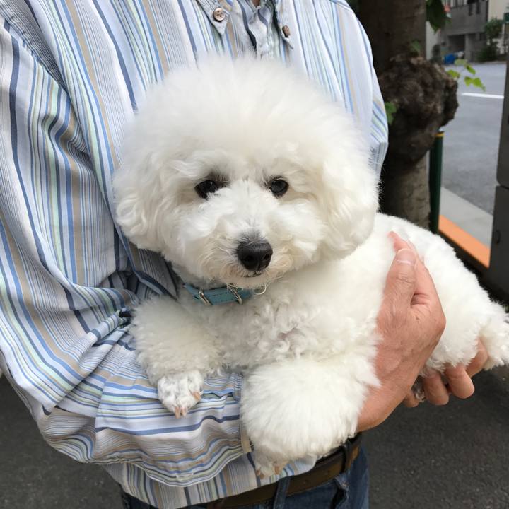 F6097fa4 c4e7 4ede 866b 9b9c507efc9e