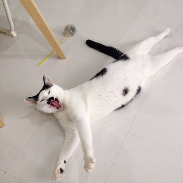 F60a325a a710 4651 ba85 26cb7548ad5a