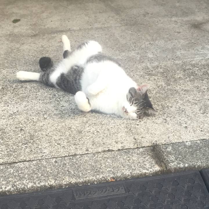 F60a8113 2849 4d50 8335 0b7deceb2e07