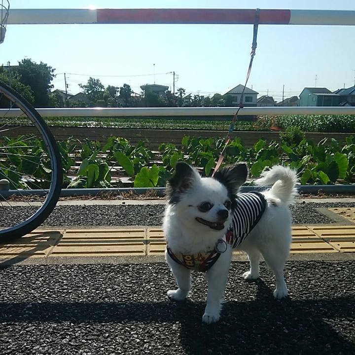 F60a95e2 807d 4c99 a15c 9c6369cbbf45