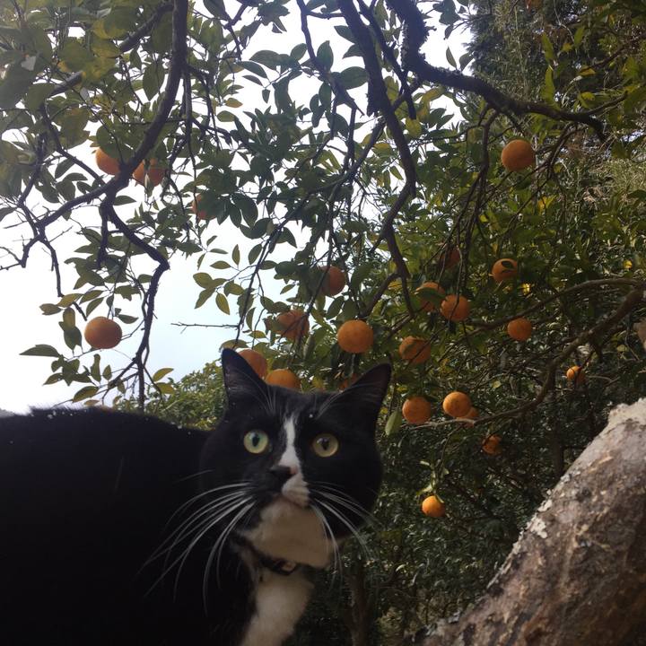 F60b254a 8f9a 46e2 a766 bd7da0cad589