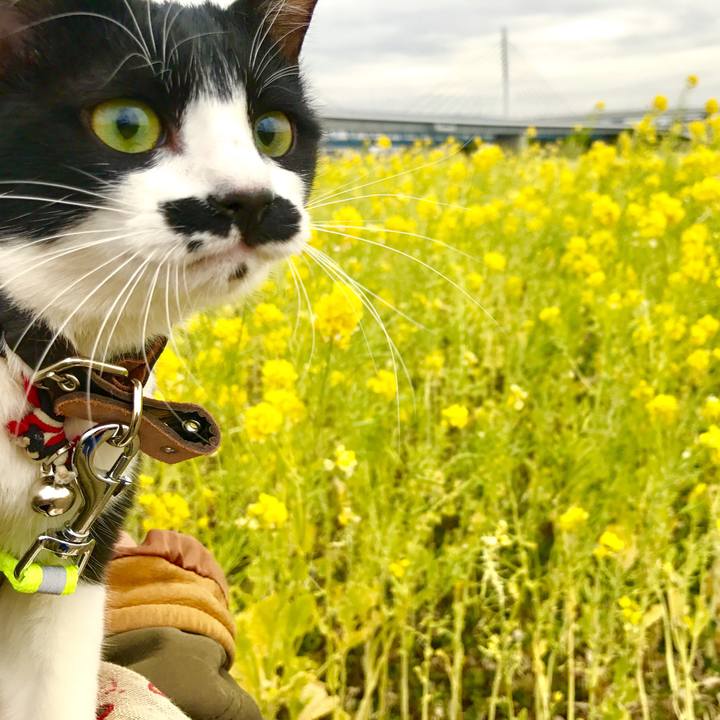 F60b2959 9d38 44ec a2fd fb8fafb91bda