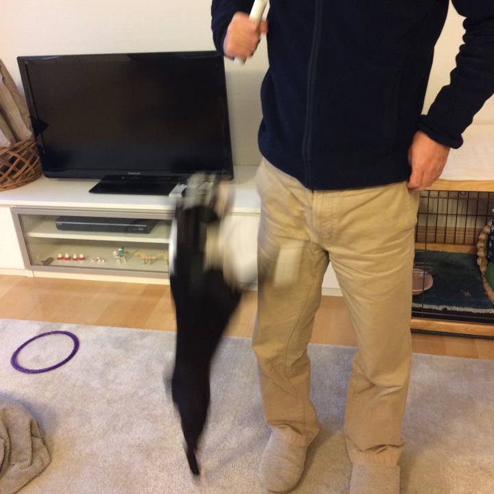 F60c09b9 b116 43b4 b963 2051114e8ec0