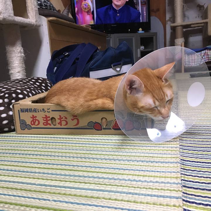 F60d3cd2 9961 4e4f bc96 04a89925fe19