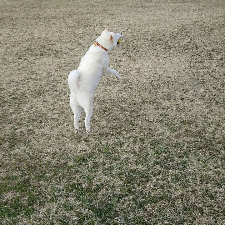 F60db630 8159 42bf b713 88a2d14a8608