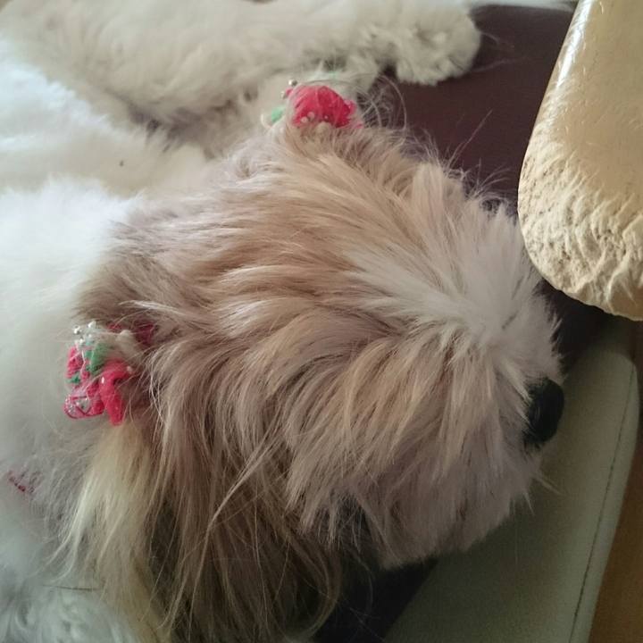 F60e3111 57da 4328 88a6 061aef57e597