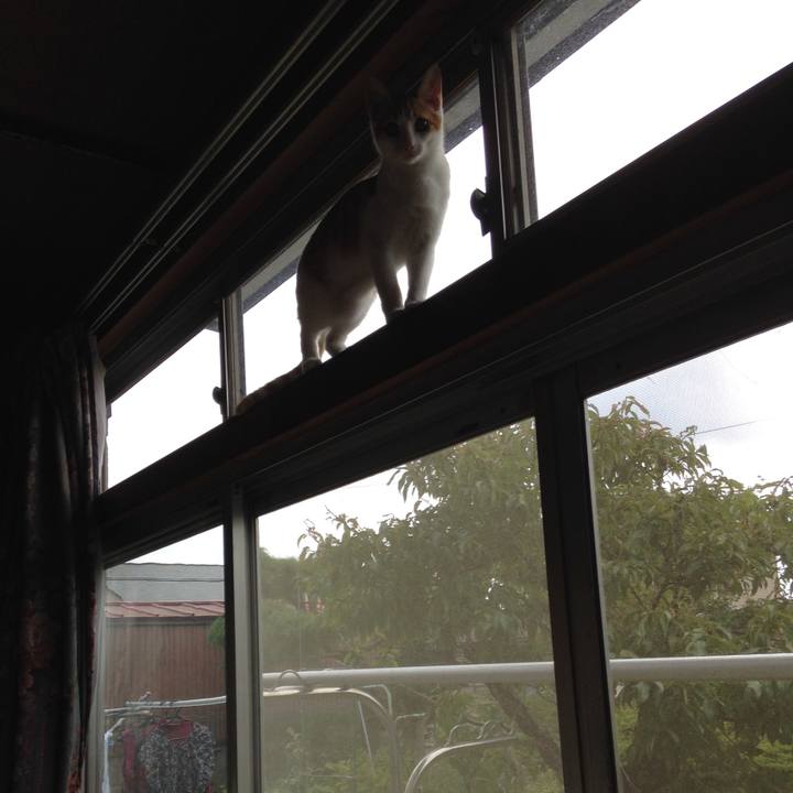 F60f4369 7df1 4bf0 bcef 54cb61f7591a