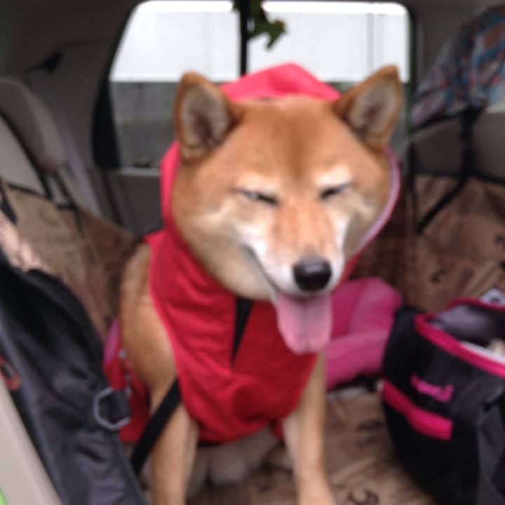 F60f48fb 5e1a 4b09 9cc7 366540bb01aa