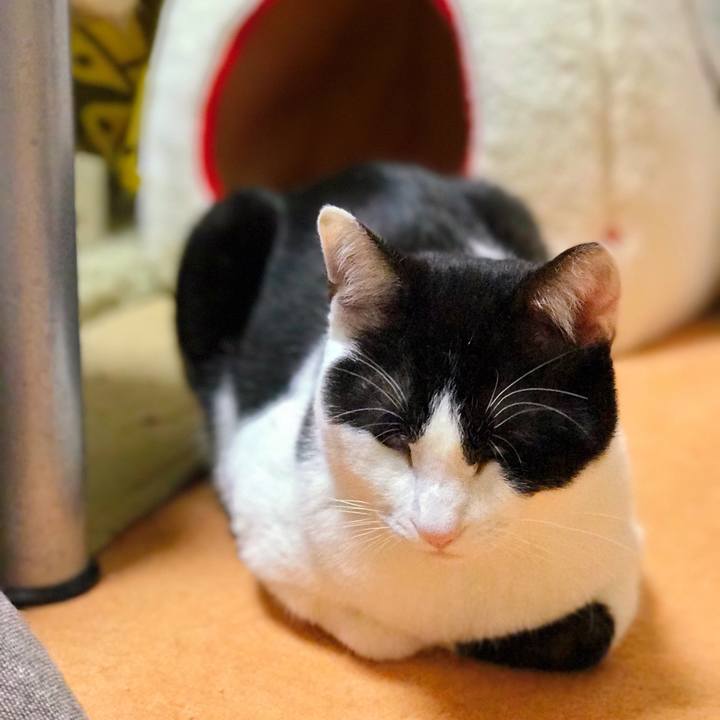 F60fe1de 843b 4b57 a4a6 73d906ea8a40