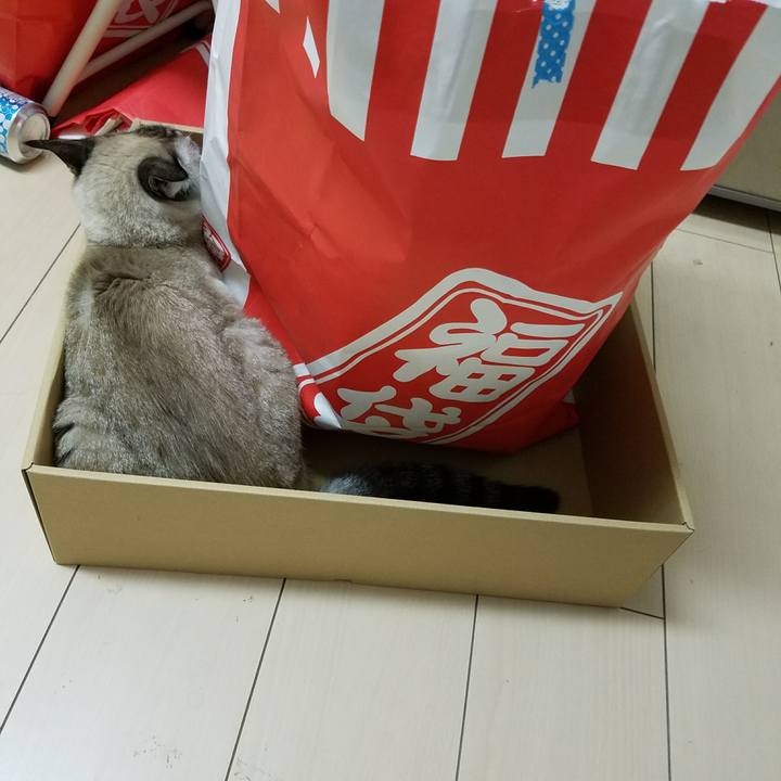 F60ff488 8f0b 4158 bbcd 39bb6e5972f1