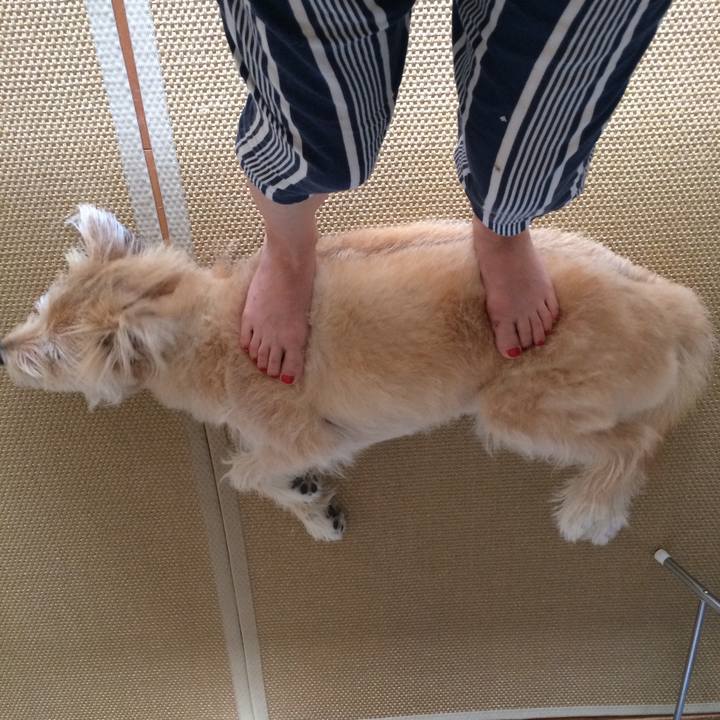 F610b8ed bd4c 45aa 86eb e1d410e6d244