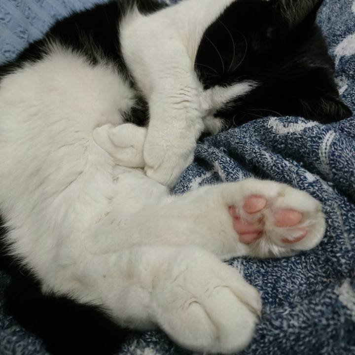 F610bdca 5c63 4393 b652 221d3eddbf06