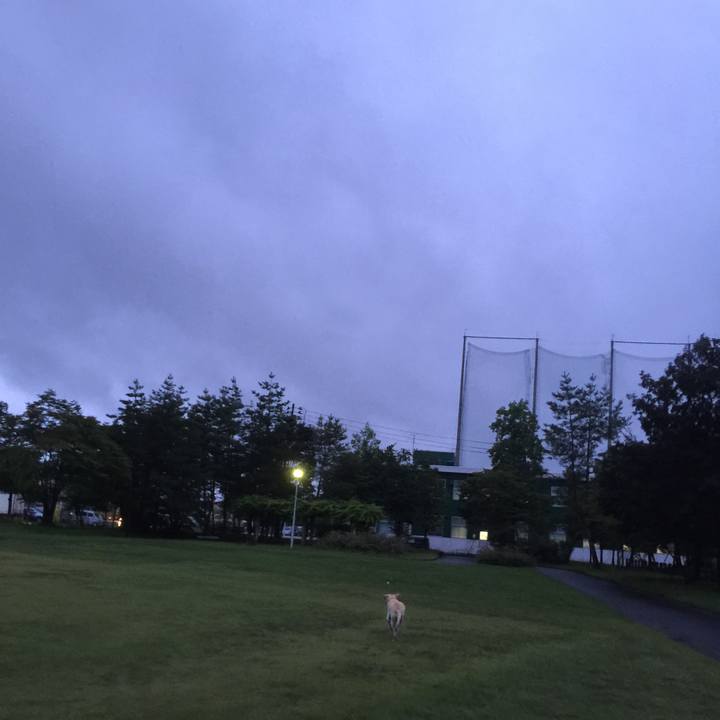 F610f29d 4537 4750 95ff 414157815c57