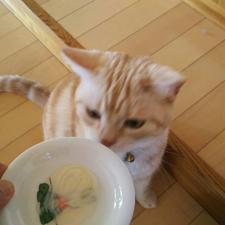 F610fbd9 b35a 4698 8501 06d193c08a8b