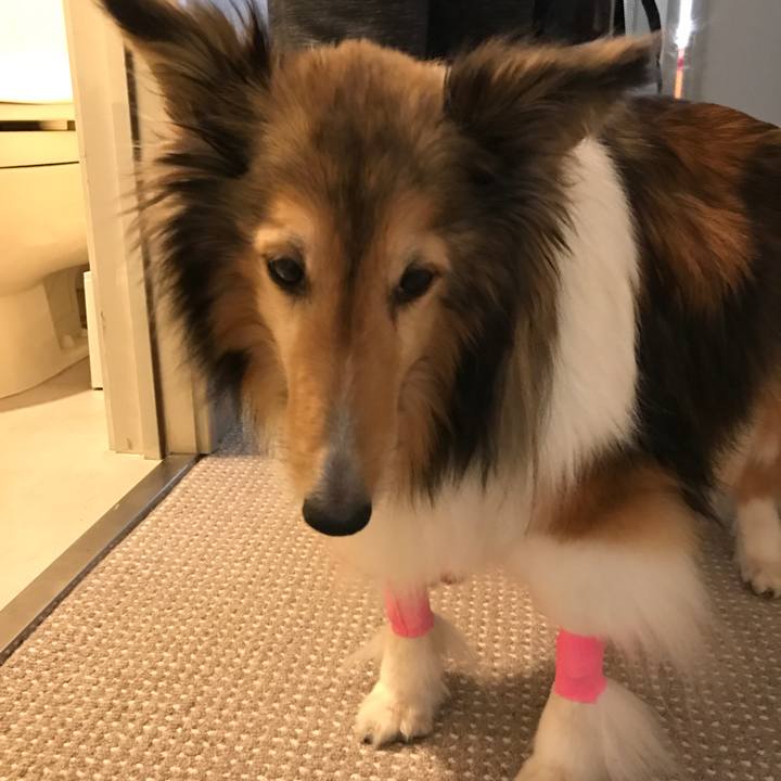 F611650f 2984 459b 8f90 e41f565ccd68