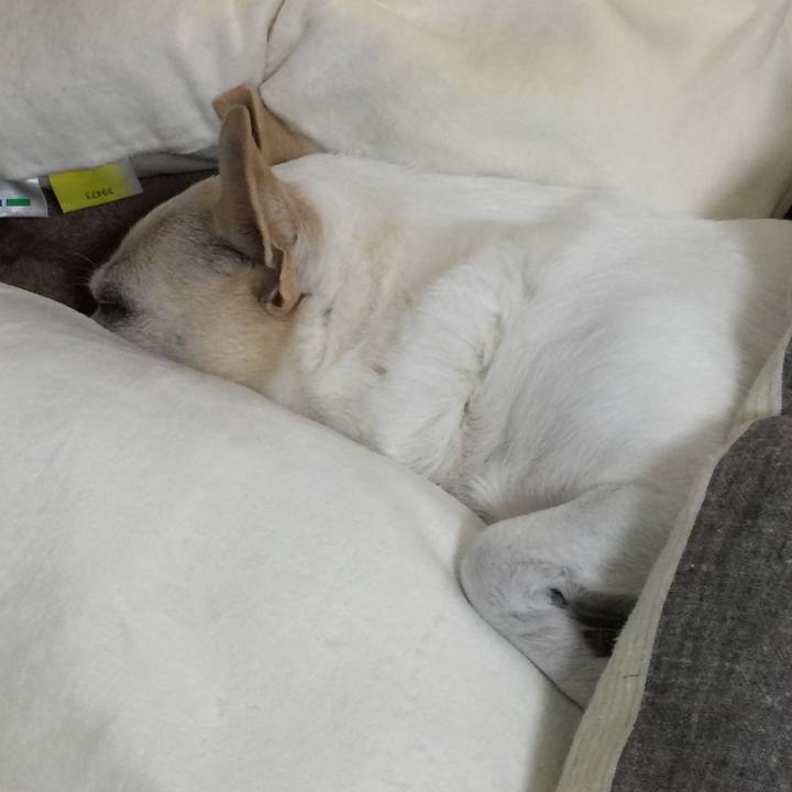 F6119a72 f57d 404e 9e50 d429f835170b