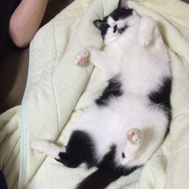 F6122221 6ae9 4692 9a48 fab4ac64adef