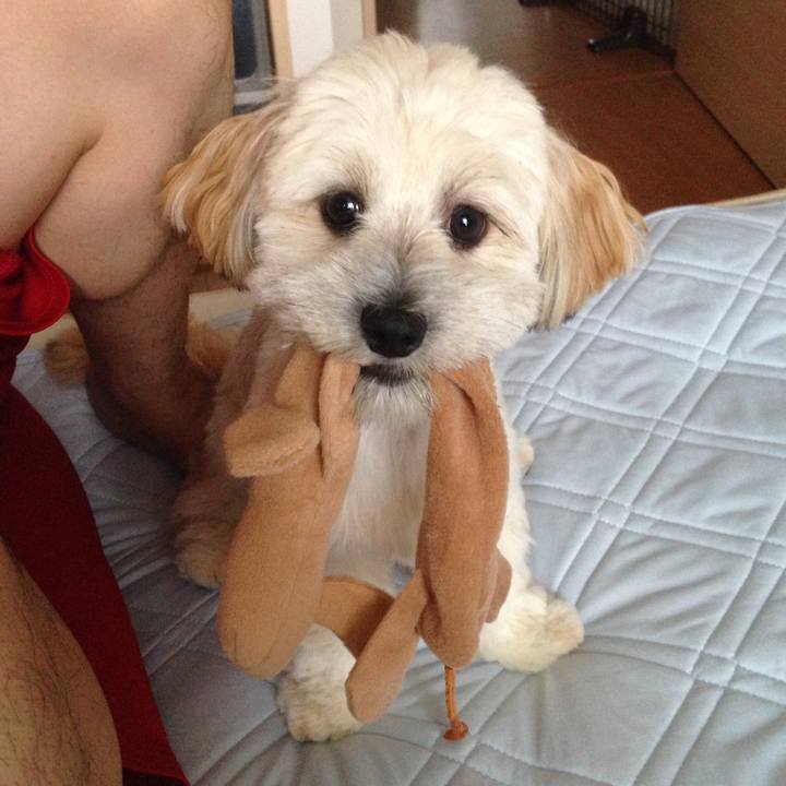 F612b782 fa5a 49b8 8929 a7b8a4ed1aed