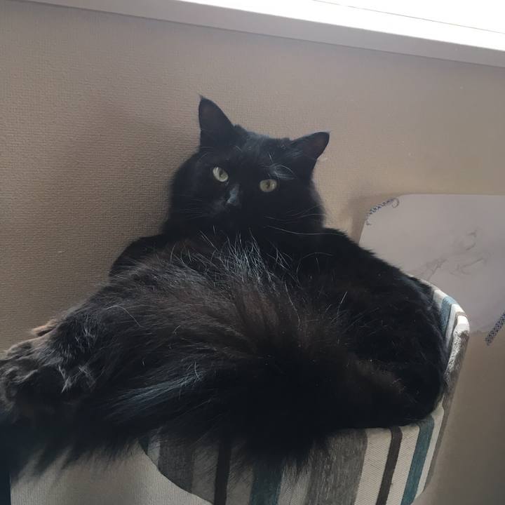 F6134aec 172f 4597 9ade 462147a2976b