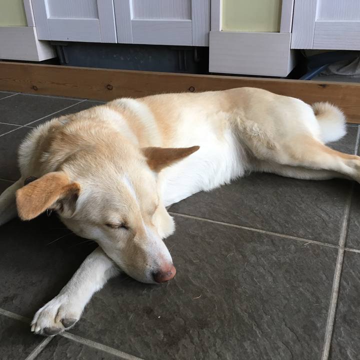 F6134eec 75c0 4d36 a941 e39b4eee7141