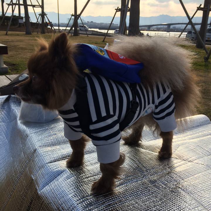 F6137a2e 8cd5 4de0 a14a 569090ae1681