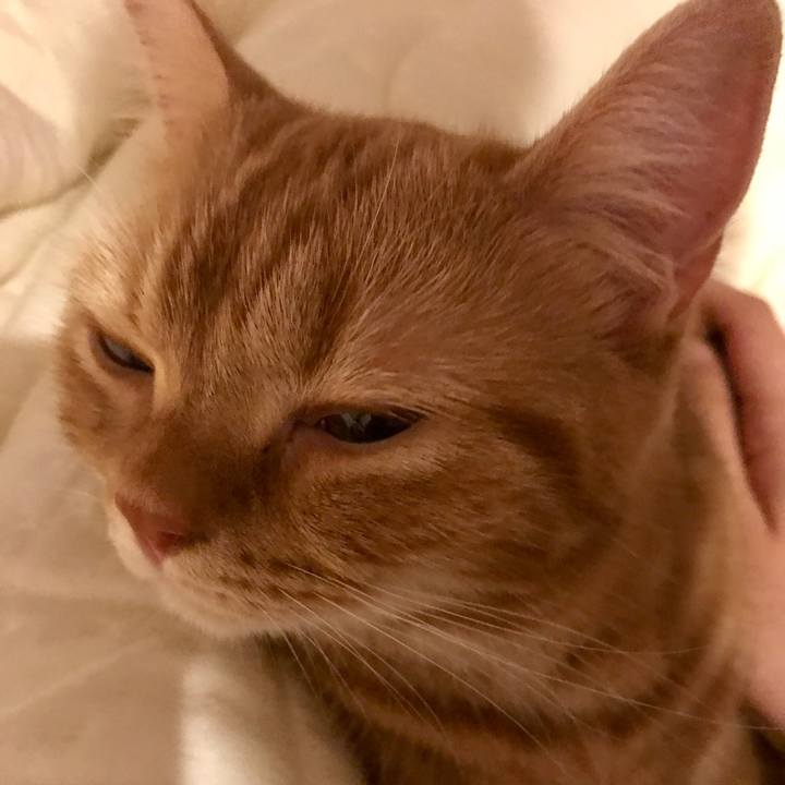 F613c388 b92f 4ffc afae 9f80c835641c