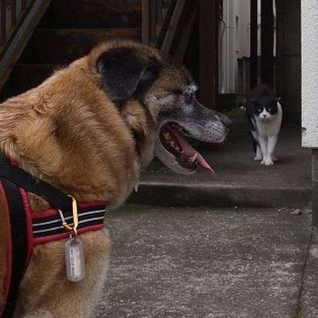 F613d414 5194 4c16 b8b5 c792ffdf4791