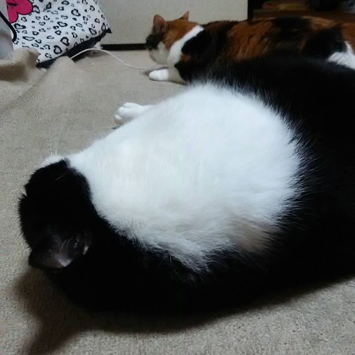 F613d66b a277 4183 ba23 a8698be6570a