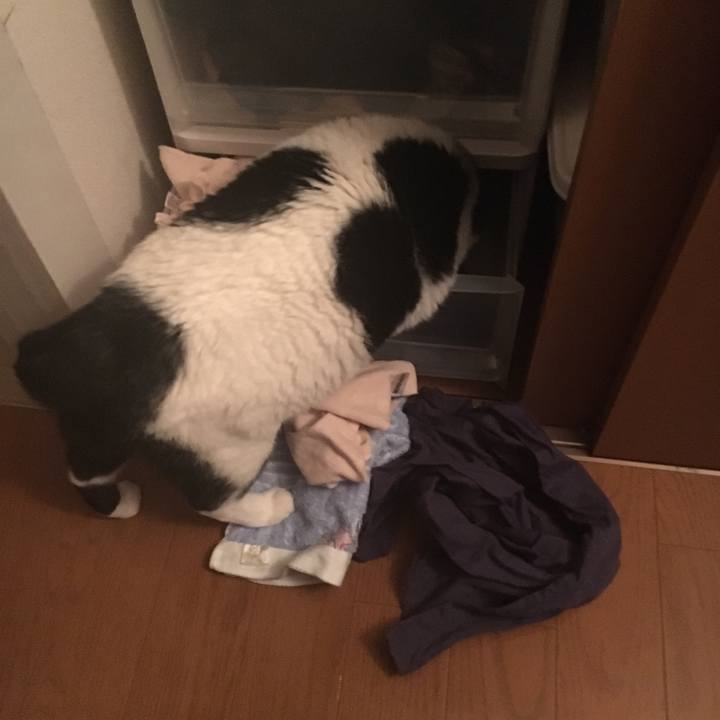 F614186c 704f 48f1 b2a9 a3c76d179ecd