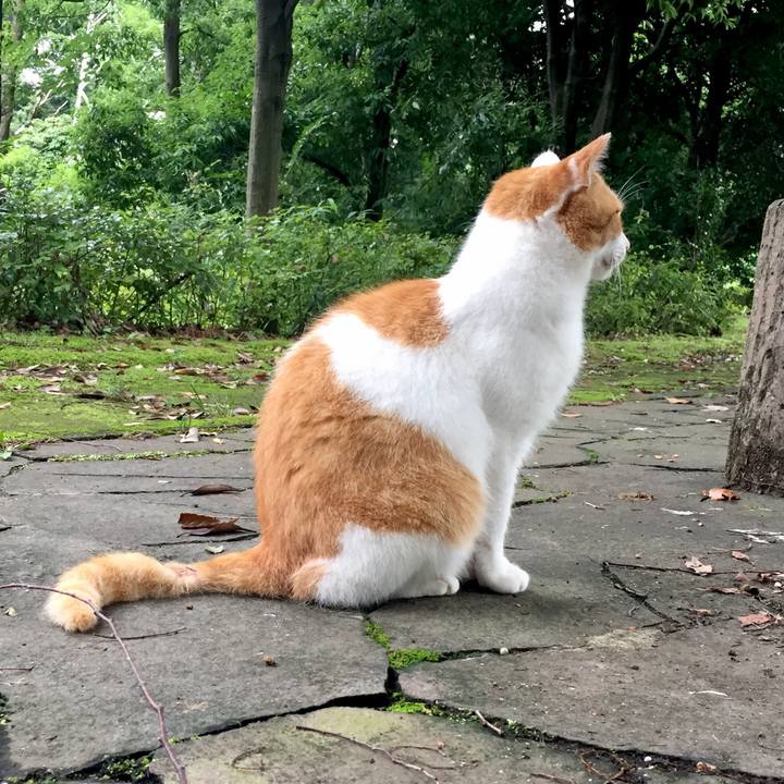 F61461af e70e 4dd2 bac6 5adaf19f436c