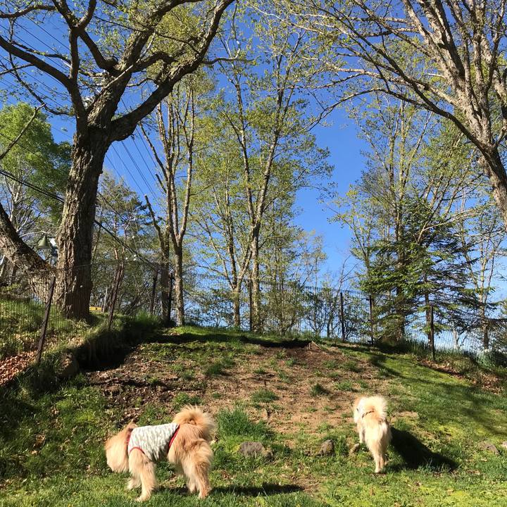 F614b129 17de 480d b915 a776b4f52ee9