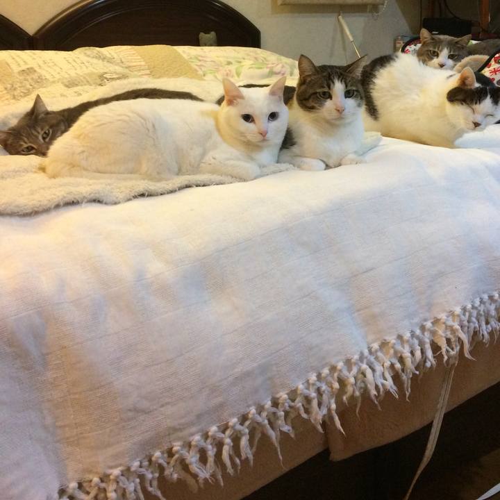 F615b67c 67e8 47a0 afee cf0a546ac0e8