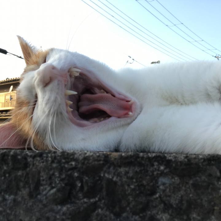 F6160764 d001 40f7 aa31 e934de0ad32a