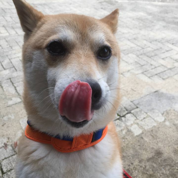 F616218a eb46 4f3c 8ff4 1e3f190c4add