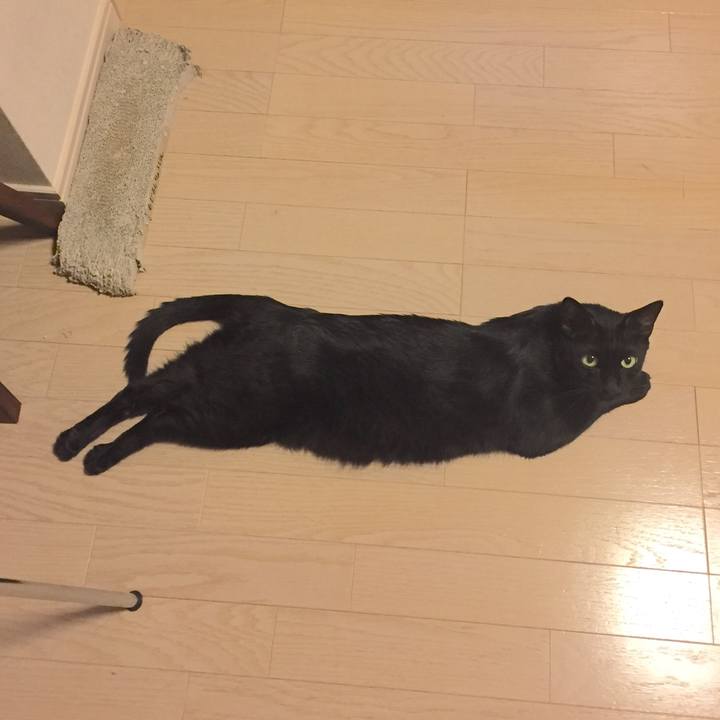 F6172a5d bc1c 4d23 b4e8 cca002c2534e