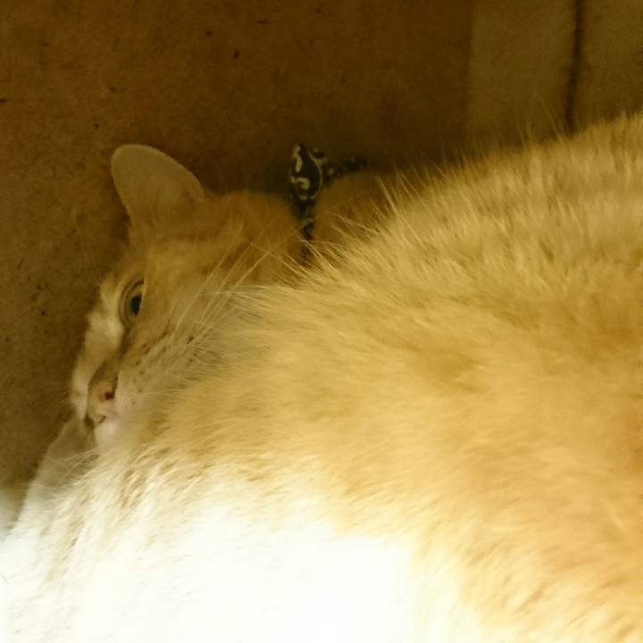 F6173514 c230 4d83 b686 a64bbf5275ae