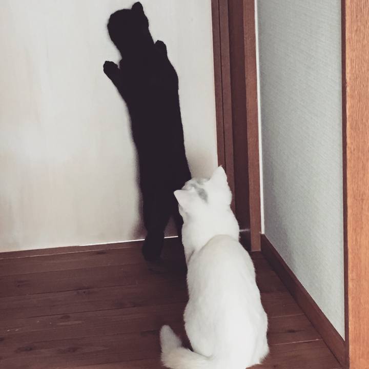 F6174805 0b25 4504 bdc6 950d02b162c2