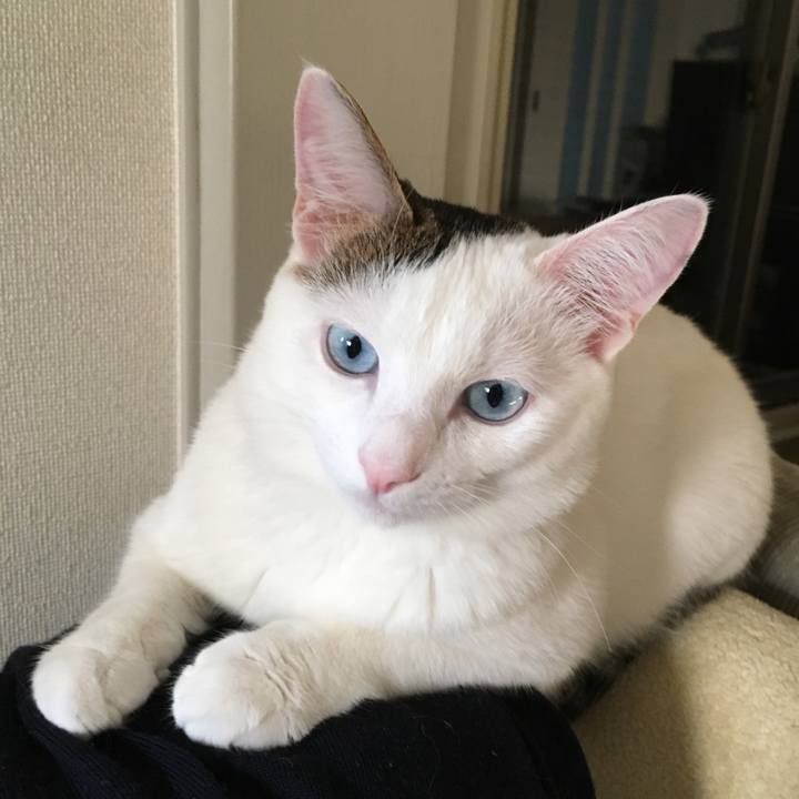 F617875e ce18 4bda 9d33 9c71542b38a8