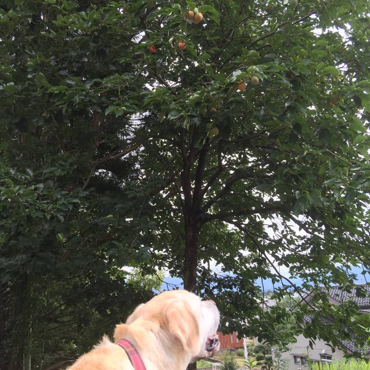 F61813b3 d6b1 400e bd7f 7b60116c961d