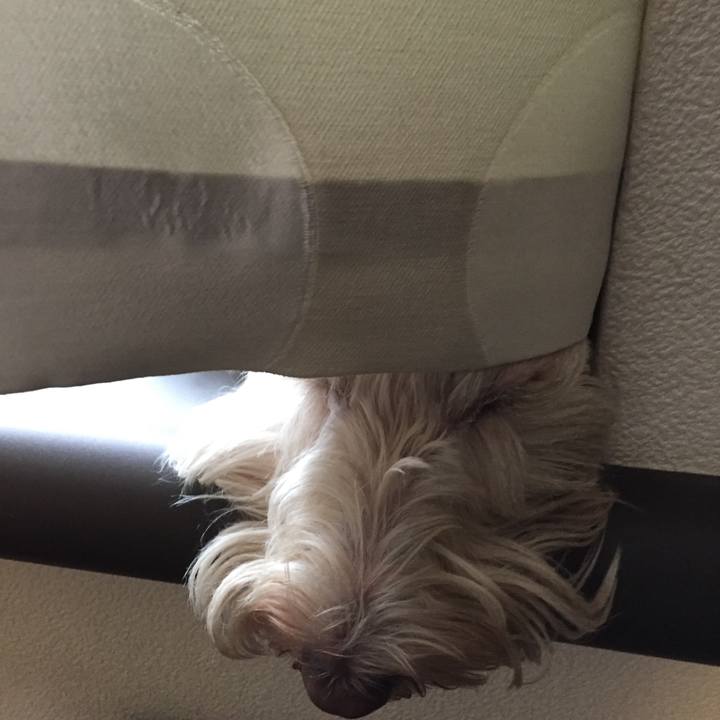 F61860b3 2ab6 4d78 a701 aa7f8b726c9b