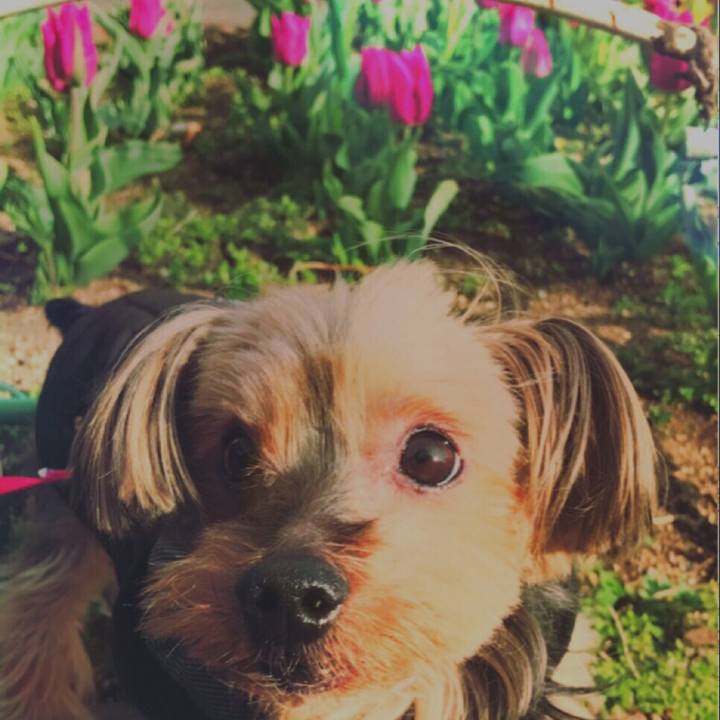 F6186b32 ee10 4927 bace f641aae44911