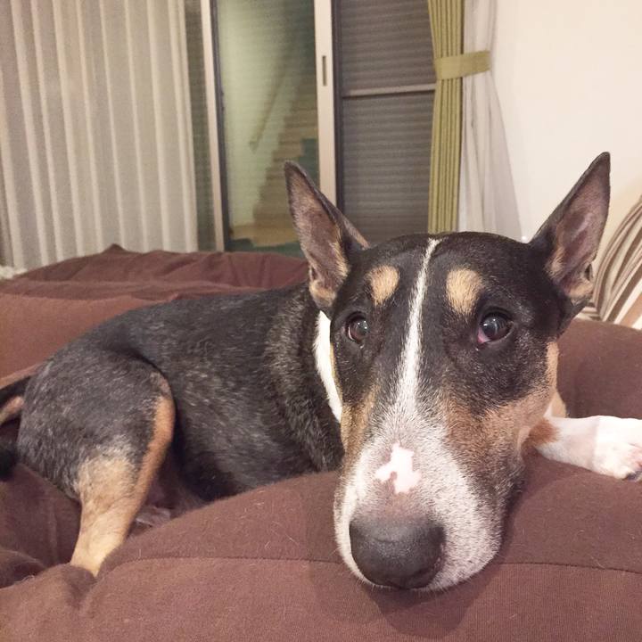 F618a19e ae9d 4cb9 bcf2 ed6d302f3416