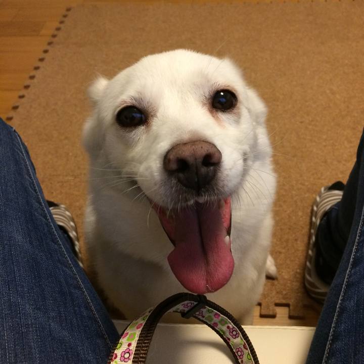 F6190390 1fd1 4340 8925 34f151cb3285