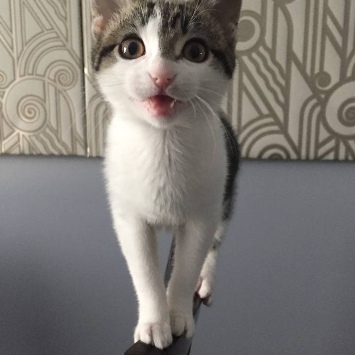 F6190ede dc38 4c11 b7b7 095a41f9133d