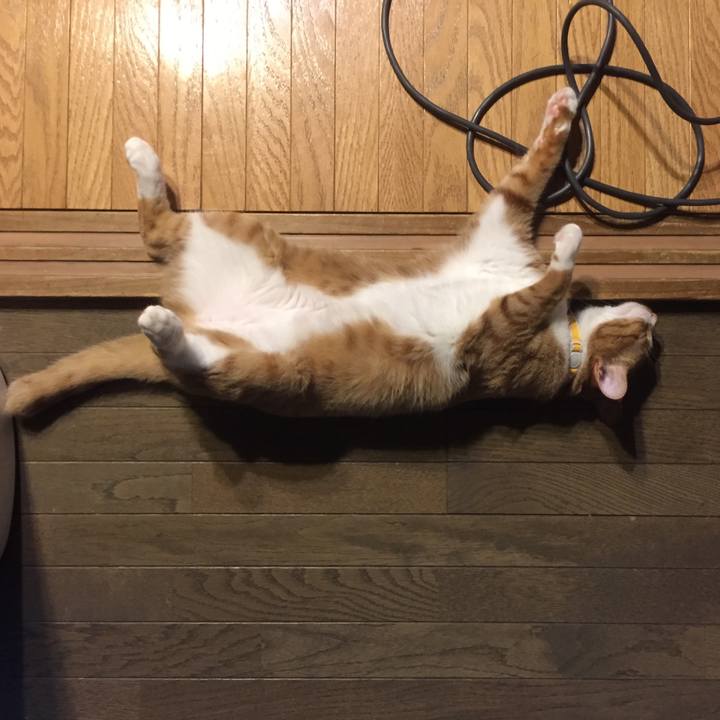 F6196e1b 2e02 437e bc50 0ec5e8cab57e