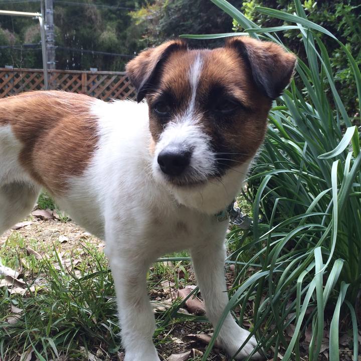 F6198d6e 9e0c 4134 9266 375852309420