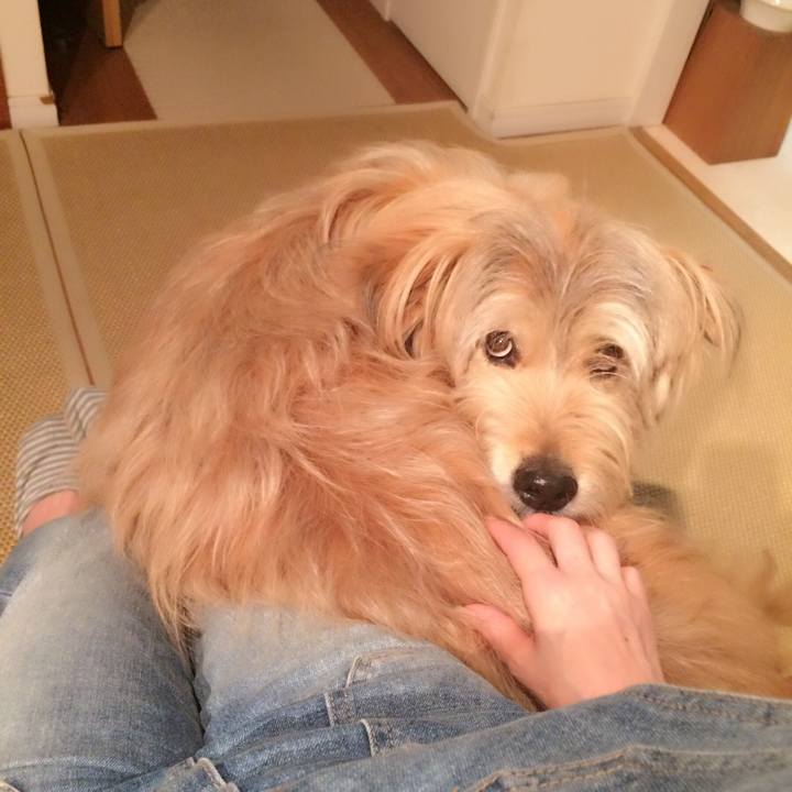 F619932d 30b7 412a 89a3 7d1086727221