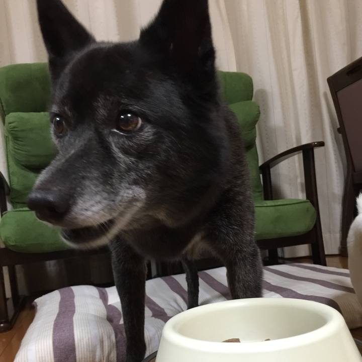 F619f444 8bd8 4b06 ae79 9608cda29c26