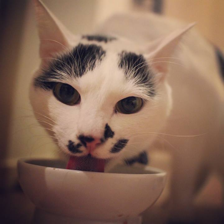 F61a86c9 05cf 432c 9ddc 6c31c076e355